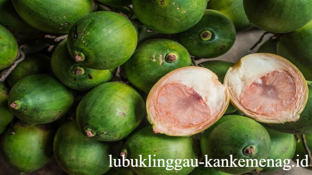 7 Manfaat Pinang Muda untuk Kesehatan