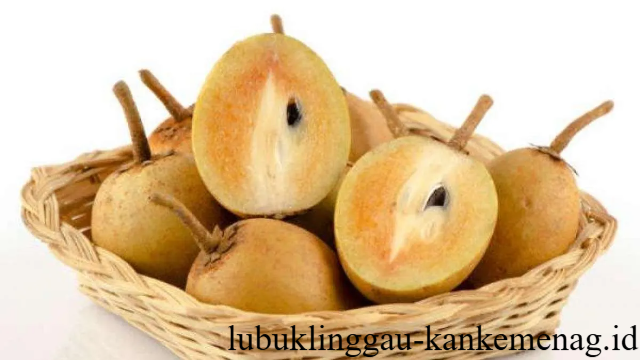 Manfaat Sawo untuk Kesehatan dan Kehidupan Sehari-Hari