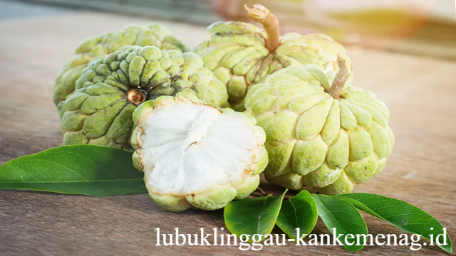 6 Manfaat Buah Srikaya untuk Kesehatan