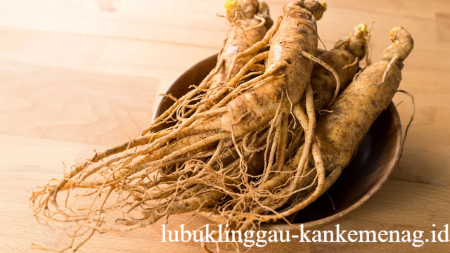 7 Manfaat Ginseng untuk Kesehatan Tubuh